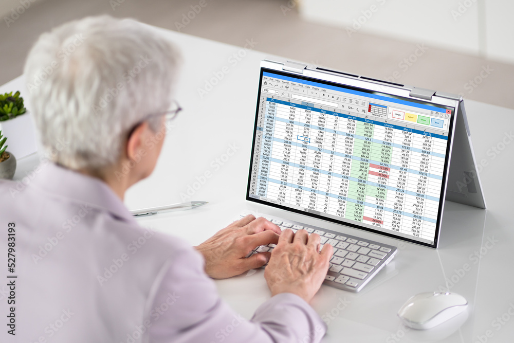 Poster Electronic Spreadsheet Analyst Or Auditor Using Software