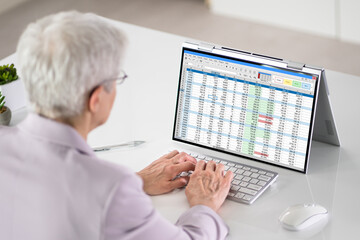 Electronic Spreadsheet Analyst Or Auditor Using Software