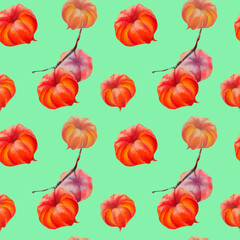 Obraz premium Physalis. A pattern of physalis. The flower of physalis. Pattern. Autumn flower. Winter cherry. Watercolor illustration on a colored background.