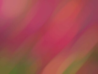Soft Pink magenta blurred Gradient Background with Blended Colors