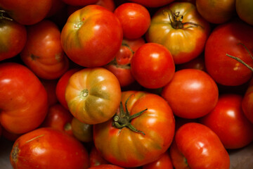 Tomatoes varieties colorful dark background. Top view.