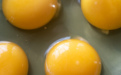 Egg yolks on a plate. Broken eggs close-up. Smooth, shiny membrane on the yolk of a hen's egg. - obrazy, fototapety, plakaty