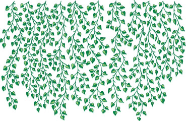 Ivy vine silhouette isolated on white background. Vine plant. Black hanging vine with leaves. Spring or nature plant design. Flat leaves hanging down. Floral pattern. Stock vector illustration