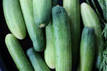 cucumbers on the market stall