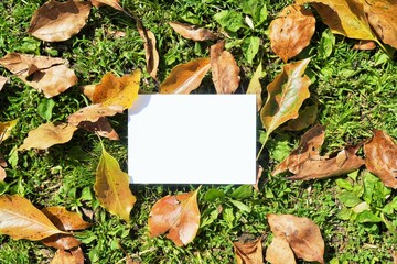 草地に落ちた落葉を背景にした白いカードのタイトルスペースのモックアップ