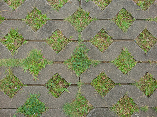 Grass Block Moss Stock Photo