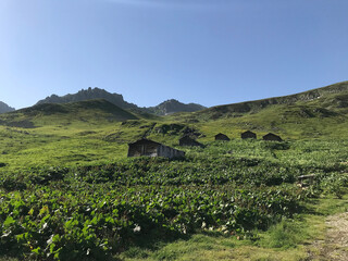 Naklejka premium Beautiful summer mountain landscape. Blue sky with clouds over layers of green hills and mountains. 