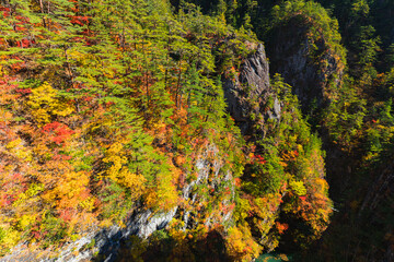 秋の瀬戸合渓（栃木県日光市）