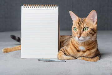 Bengal cat sits next to a white notepad and pen.