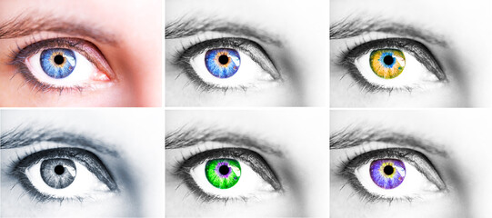 Set of 6 Beautiful female eyes, close up shot