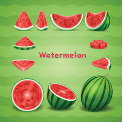 Set of realistic watermelon vector