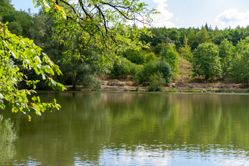 Beautiful Lake in the woods with tree and leaves in foreground