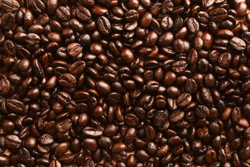 Coffee bean on wooden background