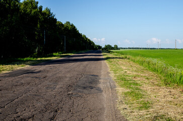 An asphalt road on which a dark shadow falls from trees where wild animals live. Asphalt road next to the forest.