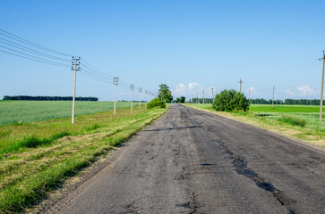 Asphalt road in the countryside, summer landscape.