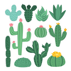 Vector set of cute cacti, aloe and leaves. Collection of exotic plants. Decorative natural elements are isolated on white. Cactus with flowers illustration.