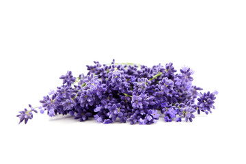 Lavender flowers closeup isolated on white