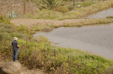Man by a pond. San Lorenzo. Las Palmas de Gran Canaria. Gran Canaria. Canary Islands. Spain.