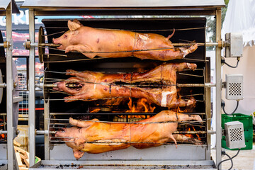 Front view of three pigs roasting on a spit in a rotisserie.