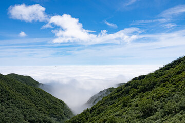 Fototapeta na wymiar 山と雲海