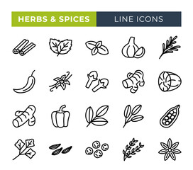 Herbs and spices line icons set. Vector line icons.