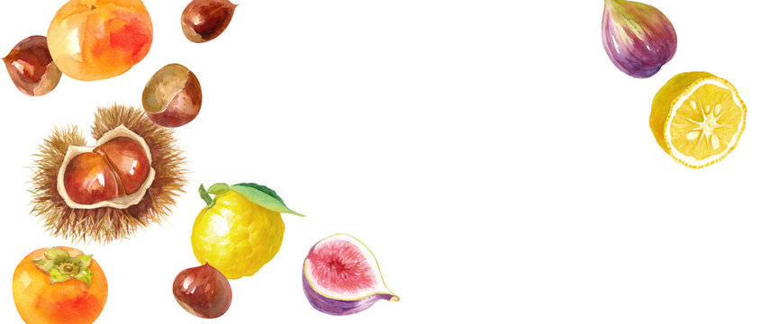 秋冬の食材：栗、柿、イチジク、柚子の俯瞰水彩イラストのアシンメトリーバナー背景。（透過背景）
