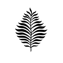 Fern leaf illustration 