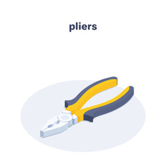isometric vector illustration isolated on white background, pliers icon, hand tool for workers