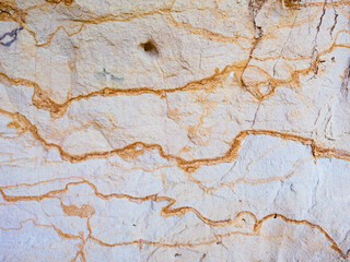 Obraz premium Smooth surface of layered sandstone sediment rock. Colorful sandstone