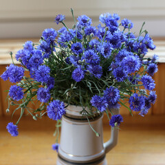 Bouquet of wild blue cornflowers in a vase by the window, blurred floral background