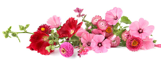 Many various garden flowers Rose mallow, Strawflower, Hollyhock, Dahlia isolated on white background. Flowers Malva trimestris,  Alcea rosea, Xerochrysum bracteatum.