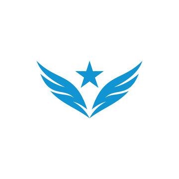 blue wing star logo icon