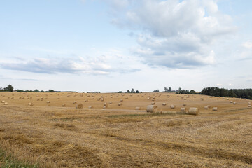 Obraz premium Hay on the field