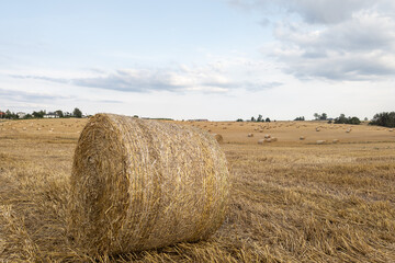 Hay on the field