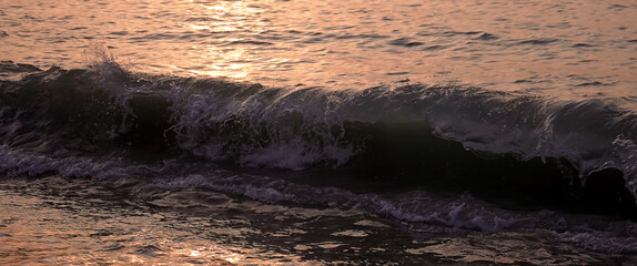 Waves on the seashore