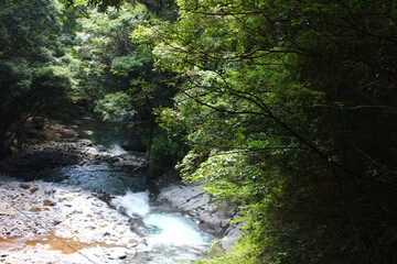 河津七滝。河津川にある七つの滝をつなぐ遊歩道からの景観。