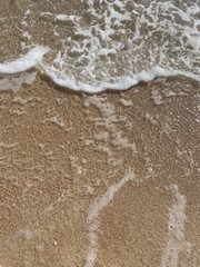 Soft sea wave on the beach, sand background
