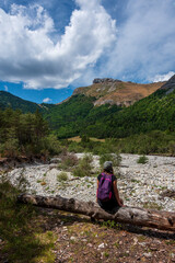 Fototapeta premium young woman on adventure holiday looking at the vue in the French Alps .