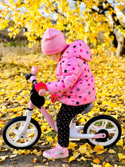 A preschool child rides a bicycle in an autumn park. The concept of a happy childhood