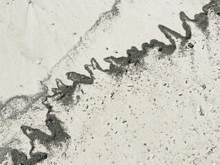 白い砂浜に漂着した福徳岡ノ場からの軽石が描く模様