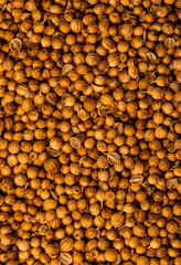 Coriander spice, closeup flat lay. Indian and Arabic peppers for cooking. Medicinal herbs and spices.