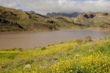 View of the Chira dam. San Bartolome de Tirajana. Gran Canaria. Canary Islands. Spain.