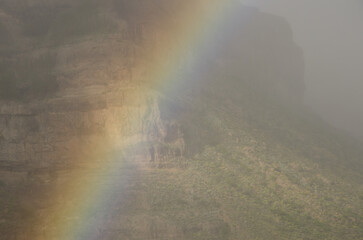 Rainbow and Tirajana cliffs in the fog. Cliffs of Tirajana Natural Monument. San Bartolome de Tirajana. Gran Canaria. Canary Islands. Spain.