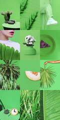 Set of trendy aesthetic photo collages. Minimalistic images of one top color.  Bio Green eco...