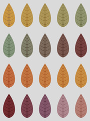 Autumn leaves Seamless pattern Leaf fall Vector illustration Isolated on grey background