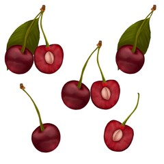 Cherry fruit with leaf isolated on white background. Cherry clipart. Drawn by hand	
