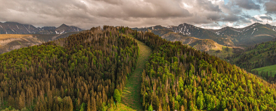 Widok na G&oacute;ry Tatry - Zakopane, Polska
