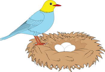 Beautiful Blue Bird Vector