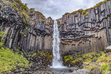 Svartifoss, black waterfall in Skaftafell Park in  Iceland