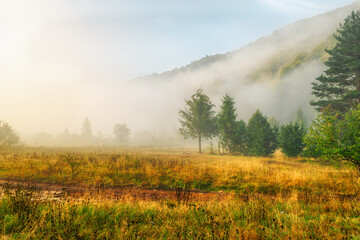 Obraz premium Beautiful mountain morning landscape. Sunrise, coniferous trees, and fog. Ukraine. The Carpathians. Travels. Rest in nature. Nature.
